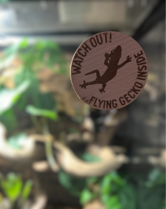 Watch Out – Flying Gecko Inside Houten Waarschuwingsbordje