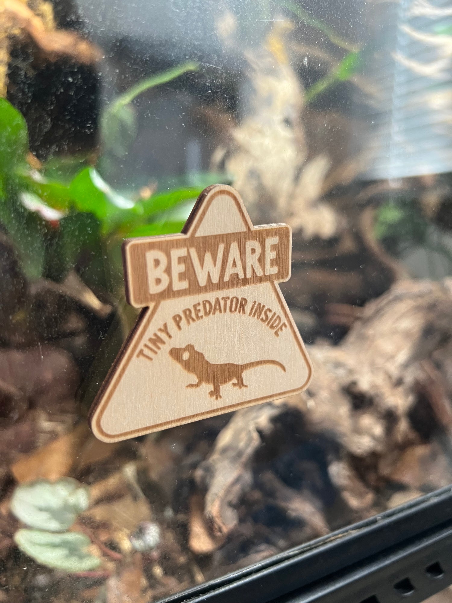 Terrarium